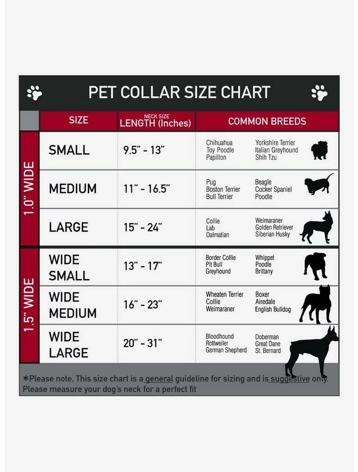 Best reviews of ❤️ A Nightmare on Elm Street "Ready or Not... Here I Come" Seatbelt Buckle 🦮 Dog Collar 😀 - Image 3